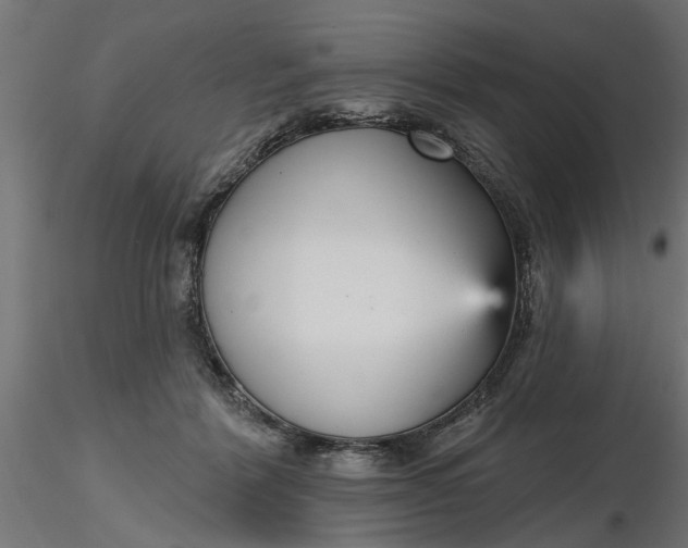 X0000116850412201001051510