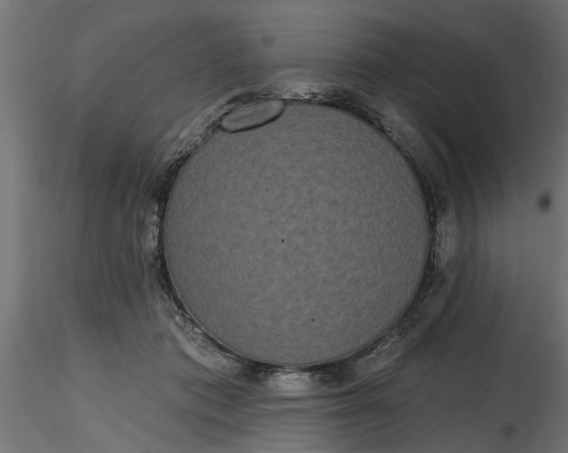 X0000116850413201001051510