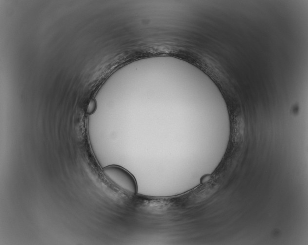 X0000116850414201001051510