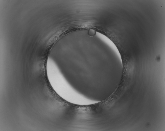 X0000116850415201001051510