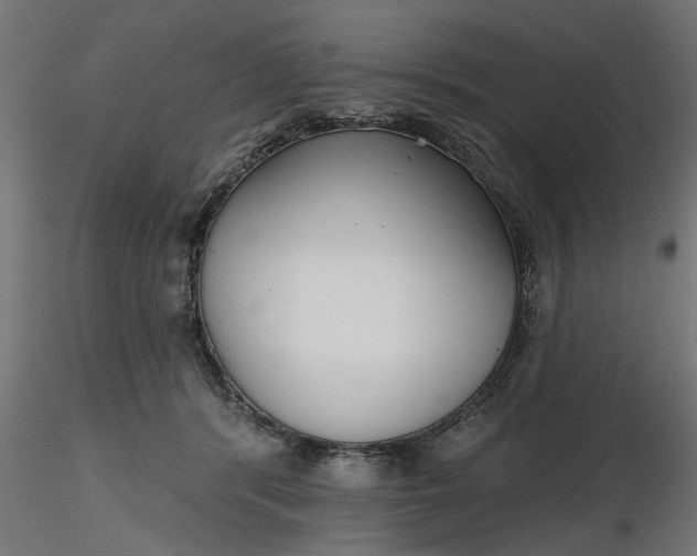 X0000116850416201001051510