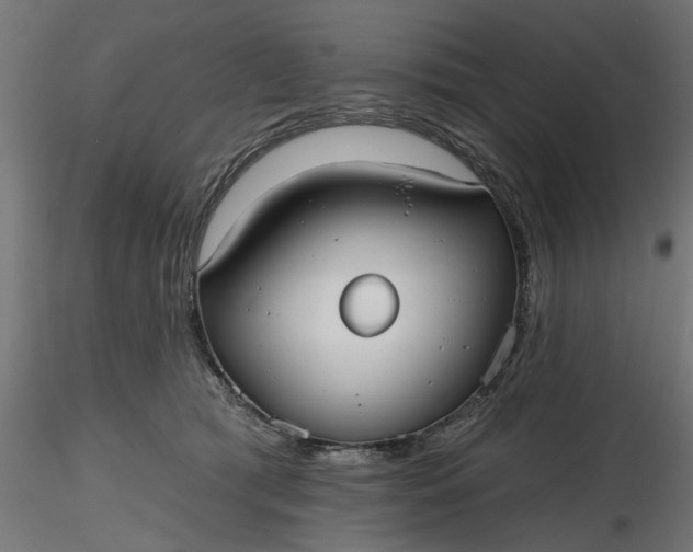 X0000116850417201001051510