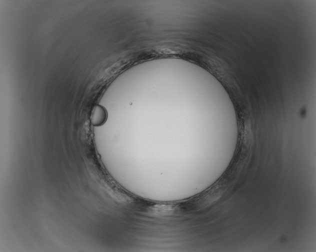 X0000116850418201001051510