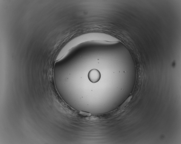 X0000116850419201001051510