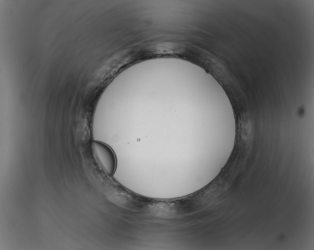 X0000116850422201001051510