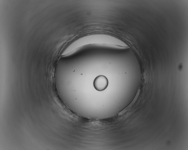 X0000116850423201001051510