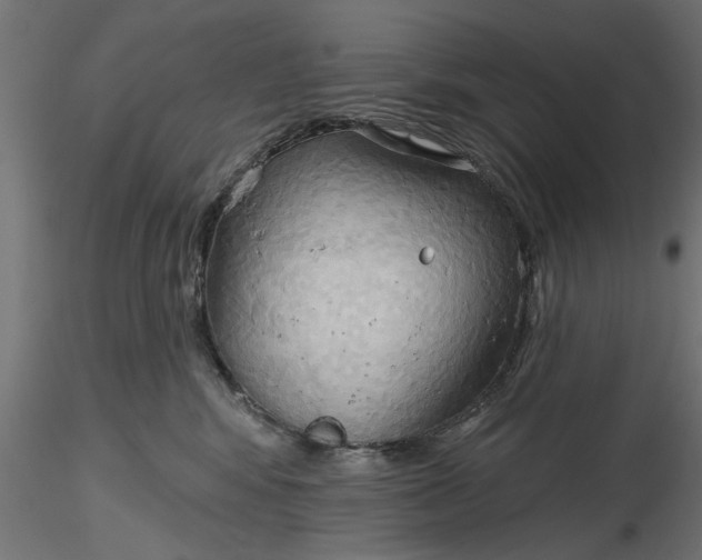 X0000116850424201001051510