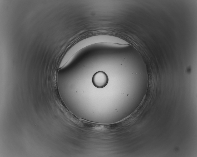 X0000116850425201001051510