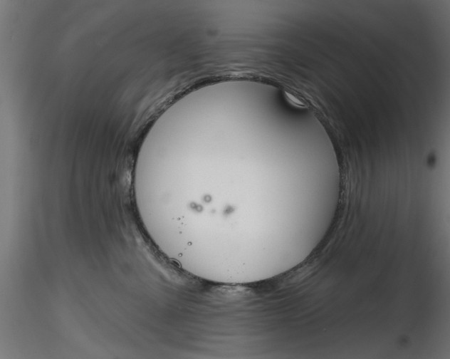 X0000116850427201001051510