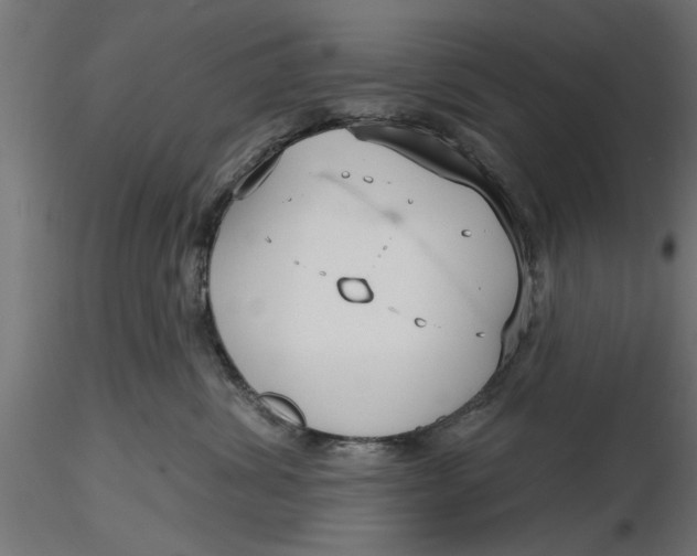 X0000116850428201001051510