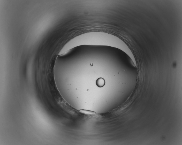 X0000116850429201001051510