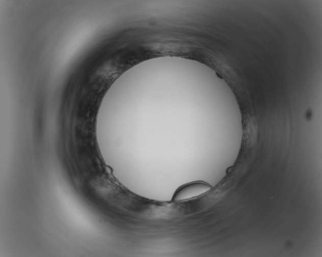 X0000116850430201001051510