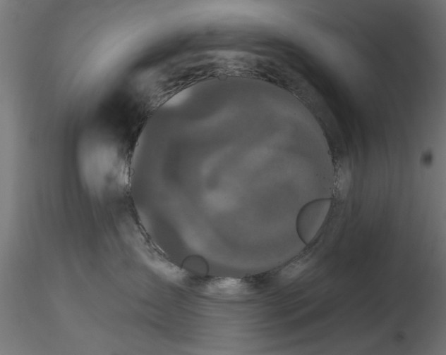 X0000116850431201001051510