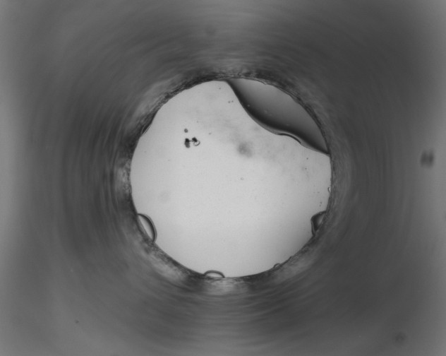 X0000116850432201001051510