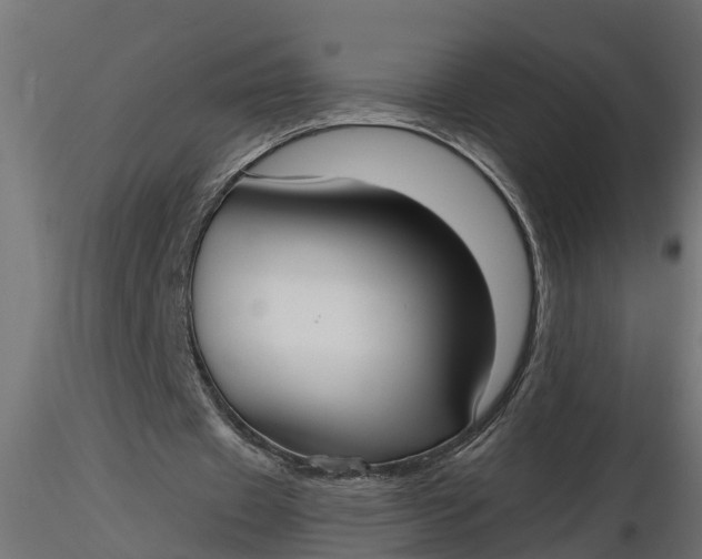 X0000116850433201001051509