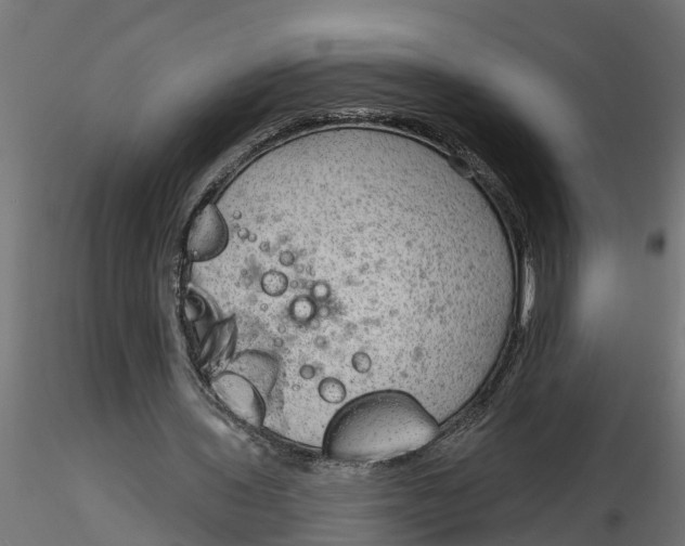 X0000116850435201001051509