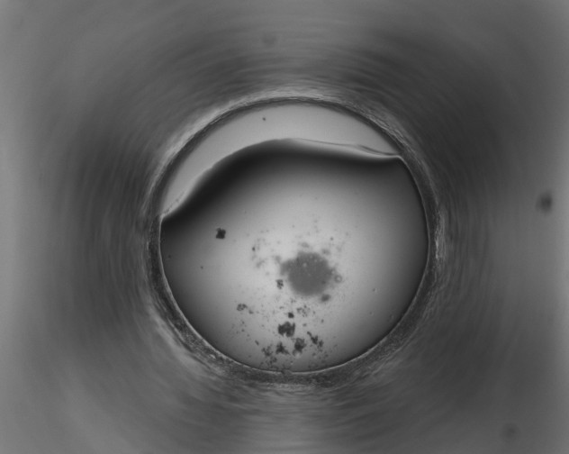 X0000116850436201001051509