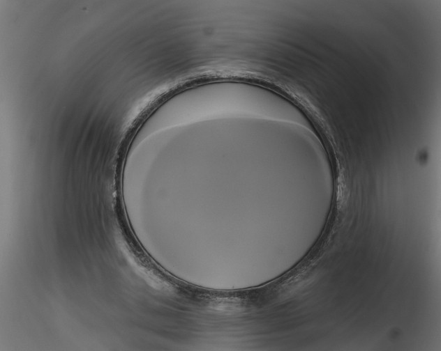 X0000116850438201001051509