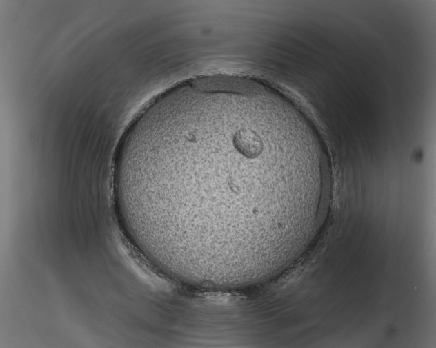 X0000116850439201001051509