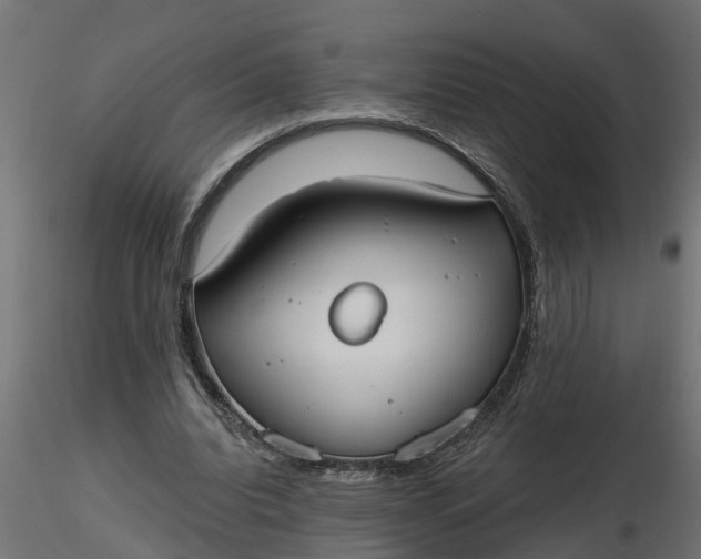 X0000116850440201001051509