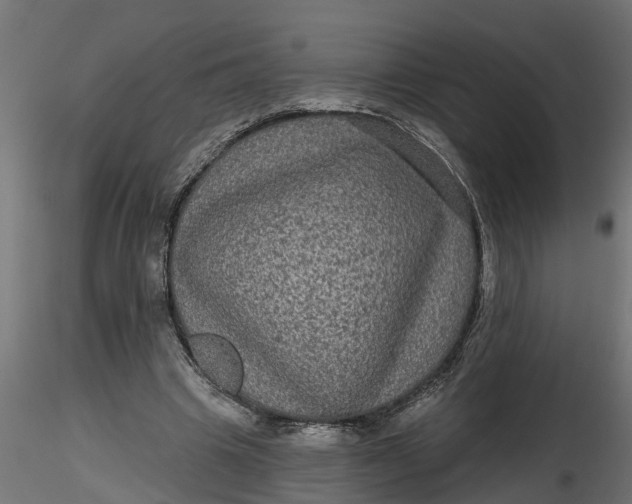 X0000116850441201001051509