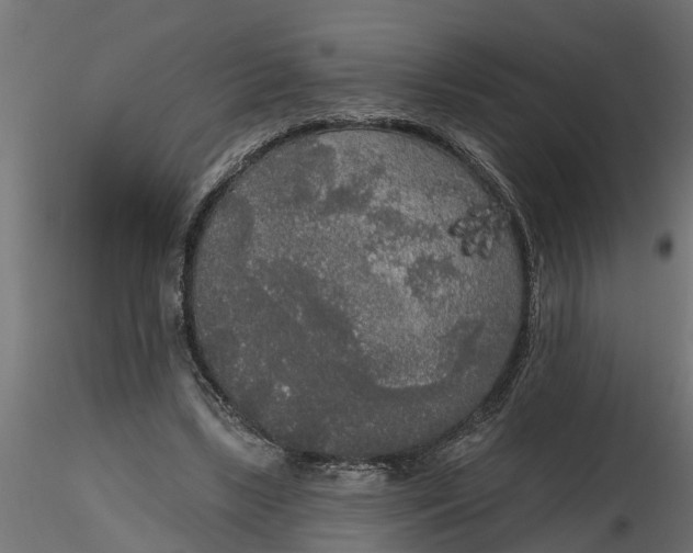 X0000116850443201001051509