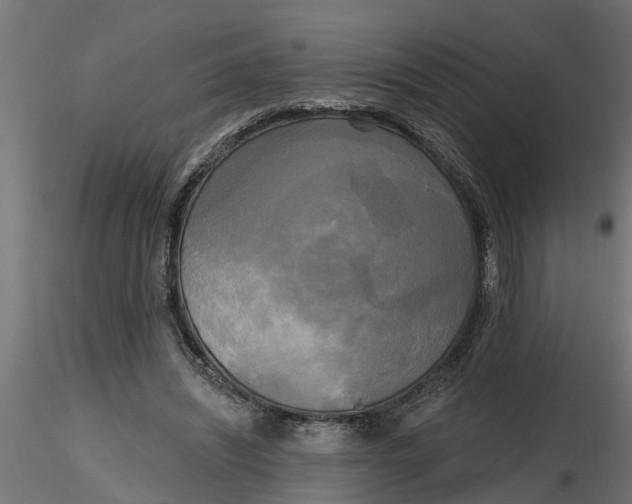 X0000116850444201001051509