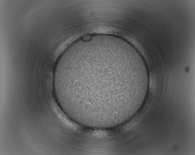 X0000116850445201001051509