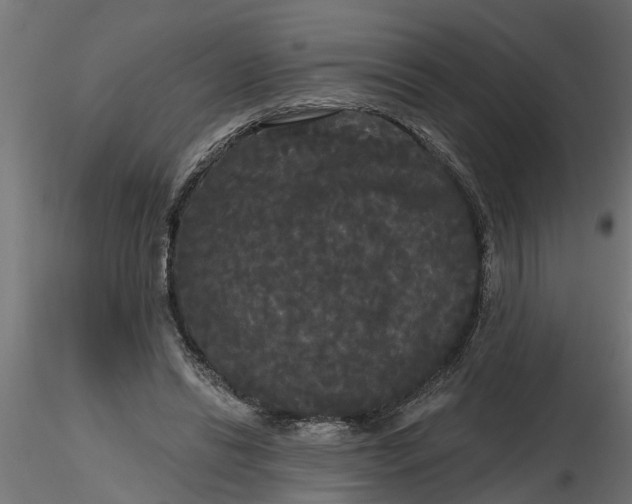 X0000116850446201001051509