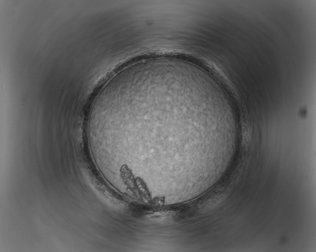 X0000116850447201001051509