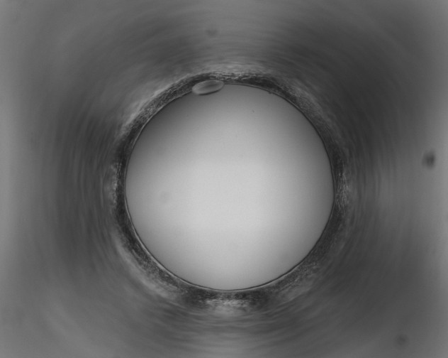 X0000116850448201001051509