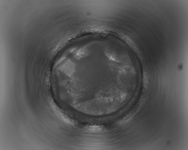 X0000116850449201001051509