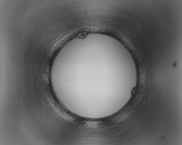 X0000116850450201001051509