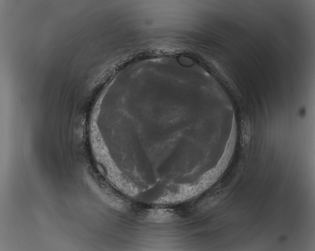 X0000116850451201001051509