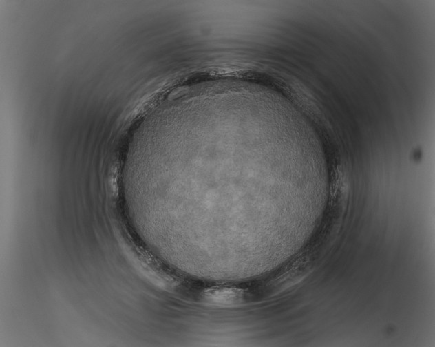 X0000116850452201001051509