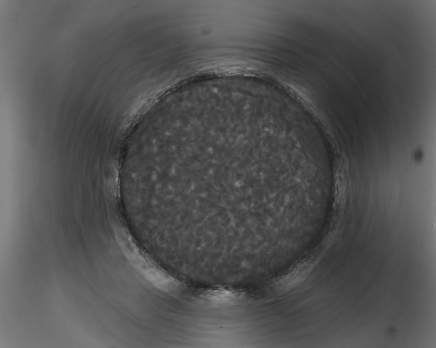 X0000116850453201001051509