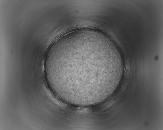 X0000116850454201001051509