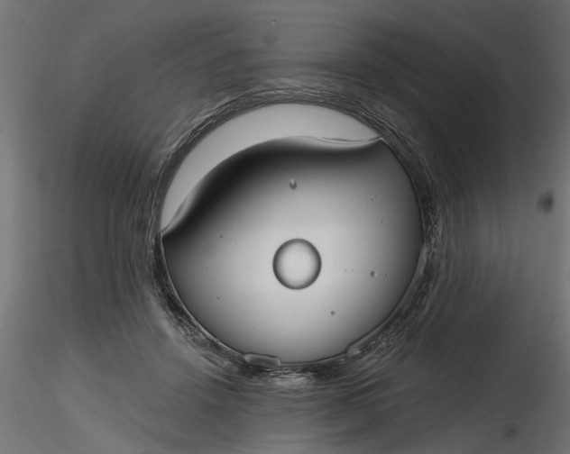 X0000116850456201001051510