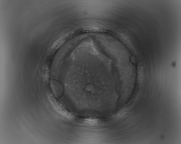 X0000116850457201001051510