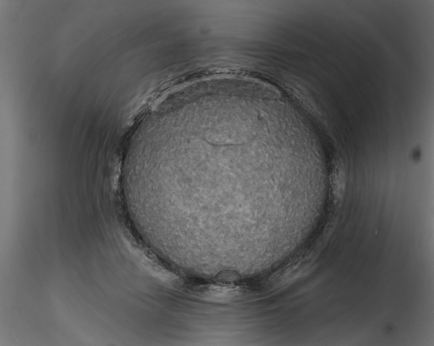 X0000116850458201001051510