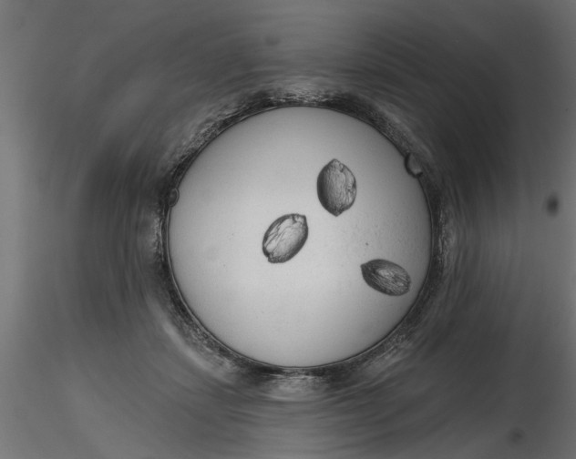 X0000116850459201001051510