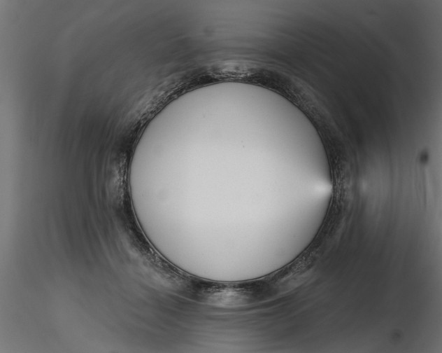 X0000116850460201001051510