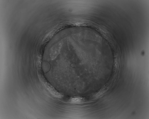 X0000116850461201001051510