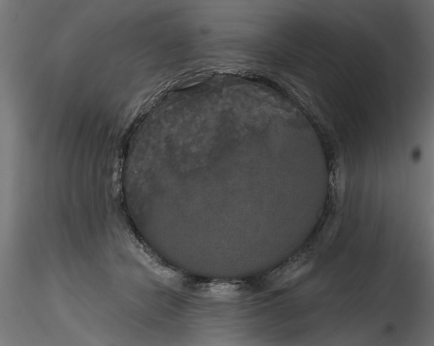 X0000116850462201001051510