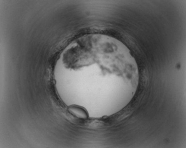 X0000116850463201001051510