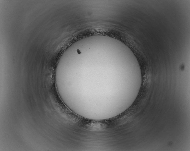 X0000116850464201001051510