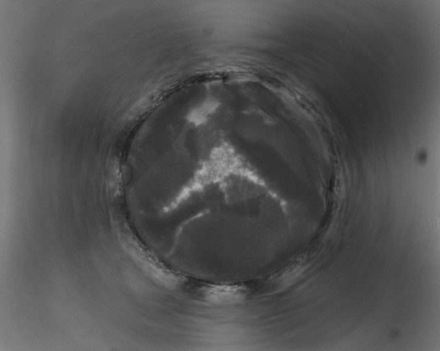 X0000116850465201001051510