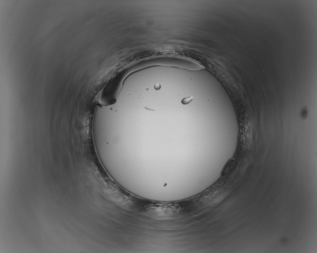 X0000116850466201001051510