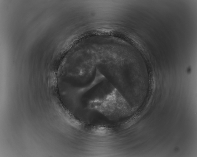 X0000116850467201001051510