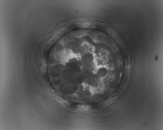 X0000116850469201001051510